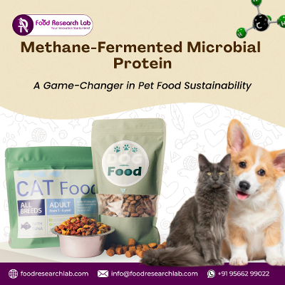 Innovative Herbal Product Formulation & R&D Services in USA - Food Research Lab